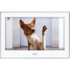 Монитор CTV CTV-M5702 (белый)