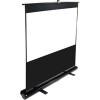 Проекционный экран Elite Screens ezCinema 170.7x128