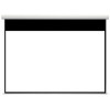 Проекционный экран Future Vision Polaris Cinema BT 242x169 PE240HMW
